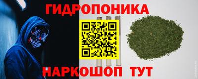 трава Севастополь