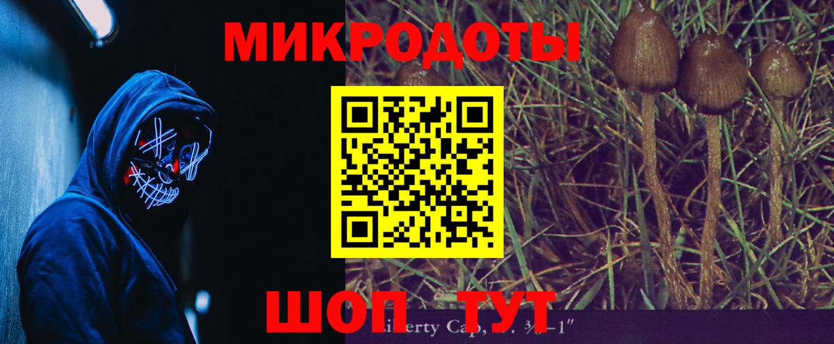 Галлюциногенные грибы Psilocybe Петропавловск-Камчатский