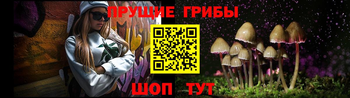 Петропавловск-Камчатский  Галлюциногенные грибы Cubensis  Галлюциногенные грибы мухоморы  Вход с VPN 